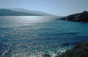 LEICA R6 SUMMILUX-R 1,4/50